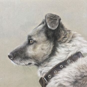 Rysunek zatytułowany „Dog profile” autorstwa Irene_art, Oryginalna praca, Pastel