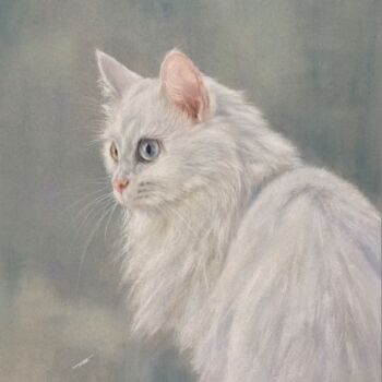 Desenho intitulada "White cat" por Irene_art, Obras de arte originais, Pastel
