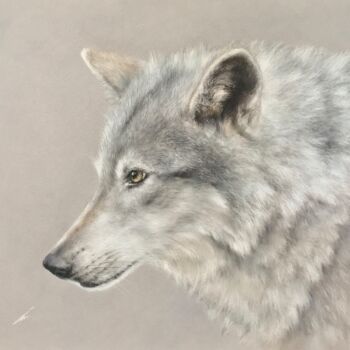 "White wolf from Ala…" başlıklı Resim Irene_art tarafından, Orijinal sanat, Pastel