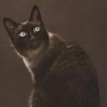 Tekening getiteld "Gato" door Irene_art, Origineel Kunstwerk, Pastel