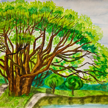绘画 标题为“Willow tree in summ…” 由Irina Afonskaya, 原创艺术品, 水彩