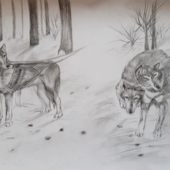 Dibujo titulada "Собаки (лайки-хаски)" por Irina Androsova, Obra de arte original, Grafito