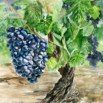 Pintura intitulada "Tasty Grapes" por Irina Kurganskaya, Obras de arte originais, Aquarela