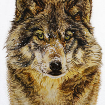 Schilderij getiteld "Wolf Dog Husky Coyo…" door Irinjoyart, Origineel Kunstwerk, Aquarel