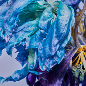 "aqua-purple" başlıklı Fotoğraf Iryna Domashenko tarafından, Orijinal sanat, Dijital Fotoğrafçılık