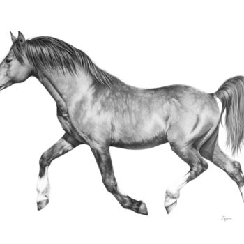 horse drawing in pencil