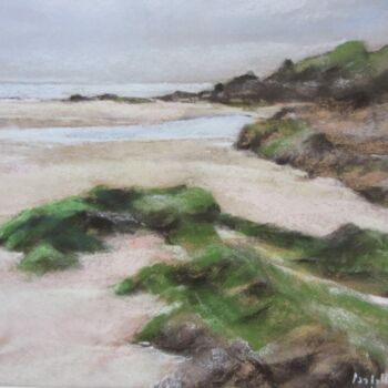 Peinture intitulée "Les Algues Plage du…" par Isabelle Douzamy, Œuvre d'art originale, Pastel