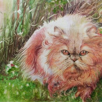 Pittura intitolato "Chat Persan roux" da Isabelle Fontenille, Opera d'arte originale, Acquarello