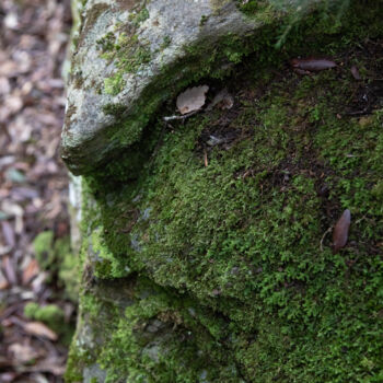 Fotografia zatytułowany „Le troll Corse” autorstwa Isabelle Pautrot, Oryginalna praca, Fotografia nie manipulowana