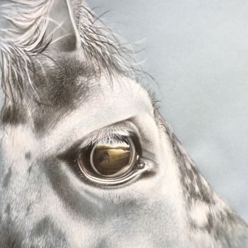 Malarstwo zatytułowany „HORSE GF n 3” autorstwa Isabelle Molinard, Oryginalna praca, Akwarela