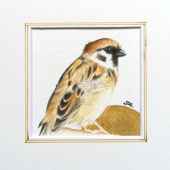 Painting titled "Moineau doré" by Isabelle Molinard, Original Artwork, Watercolor