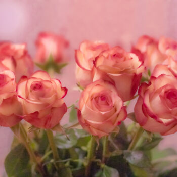 Fotografía titulada "Rose roses" por Iurii Baklykov, Obra de arte original, Fotografía digital