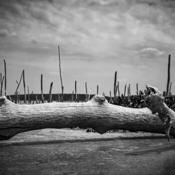 Fotografia intitulada "The lake is dead" por Ivan Ponomarevsky, Obras de arte originais, Fotografia digital