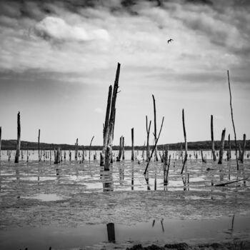 摄影 标题为“The lake is dead 1/5” 由Ivan Ponomarevsky, 原创艺术品, 数码摄影