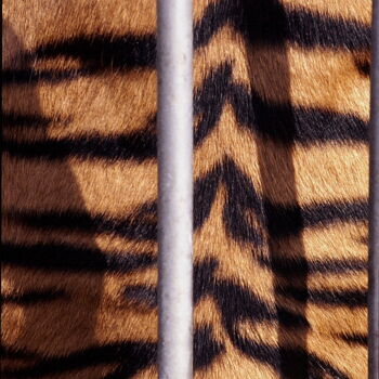 Fotografía titulada "Bengali doré - tigr…" por Jacques Jégo, Obra de arte original