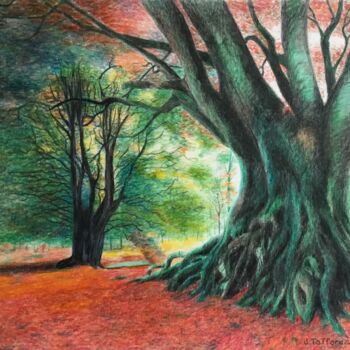 Painting titled "Arbre remarquable d…" by Jacques Tafforeau, Original Artwork, Other