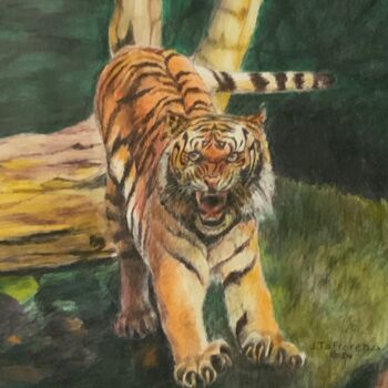 Pintura titulada "LE TIGRE EN POSTURE…" por Jacques Tafforeau, Obra de arte original, Acuarela