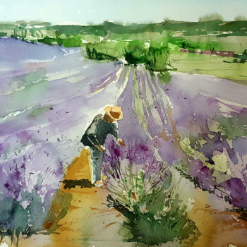 Schilderij getiteld "Campos de lavanda" door Jacques Villares, Origineel Kunstwerk, Aquarel