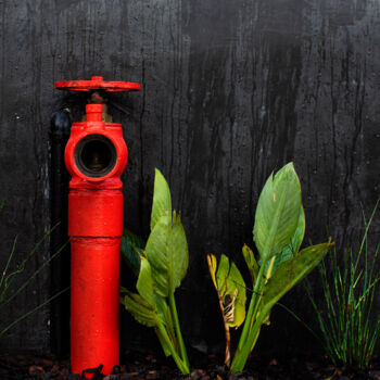 Fotografía titulada "Fire Hydrant" por Jade Holing, Obra de arte original, Fotografía digital
