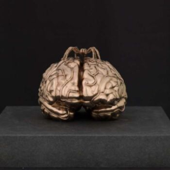 Escultura titulada "The Brain of the Bl…" por Jan Fabre, Obra de arte original