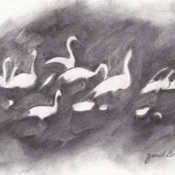 Drawing titled "Trumpeter Swans Ska…" by Janel Bragg, Original Artwork, Other