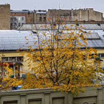 Photographie intitulée "Late Autumn 2" par Jarek Rufer, Œuvre d'art originale, Photographie non manipulée