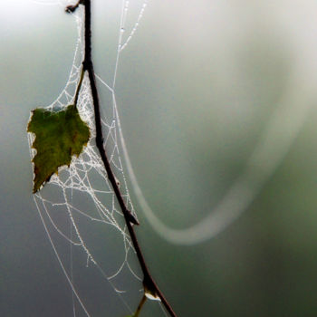 Fotografía titulada "Je viens à vous" por Jarek Witkowski, Obra de arte original