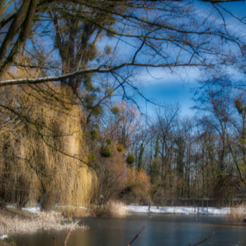 Fotografía titulada "Adieu à l'hiver" por Jarek Witkowski, Obra de arte original