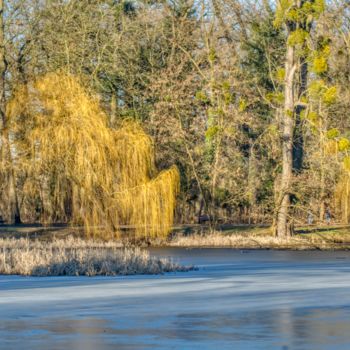 Fotografia zatytułowany „prévu fin d'hiver” autorstwa Jarek Witkowski, Oryginalna praca