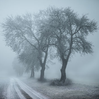 Photographie intitulée "Fog at noon" par Jarek Sieczkowski, Œuvre d'art originale, Photographie numérique