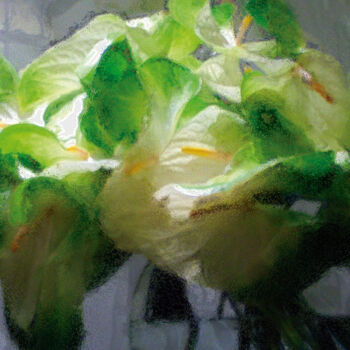 Digital Arts titled "Pecera con flores/X…" by Javier Diaz, Original Artwork, Manipulated Photography