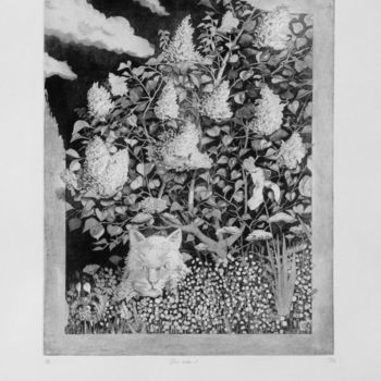 Incisioni, stampe intitolato "Hors cadre-1" da Jean-Christophe Sylvos, Opera d'arte originale, incisione