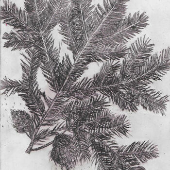 Obrazy i ryciny zatytułowany „Branches d'épicéas” autorstwa Jean-François Jullien, Oryginalna praca, Rytownictwo