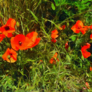 Photography titled "Coquelicots - 4" by Jean-Louis Bouzou, Original Artwork, Digital Photography