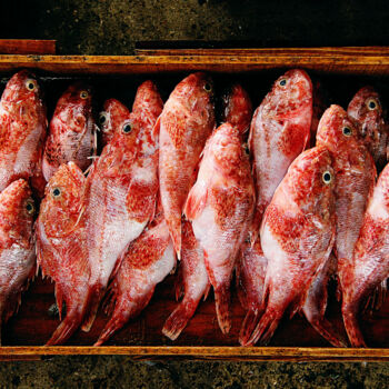 Fotografía titulada "Poissons #2, Busan,…" por Jean-Marie Virat, Obra de arte original, Fotografía analógica