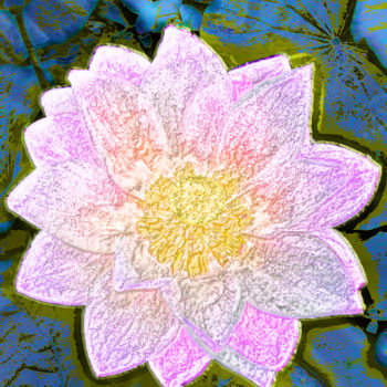 Fotografía titulada "257b79-lotus.jpg" por Jean-Paul Martin, Obra de arte original