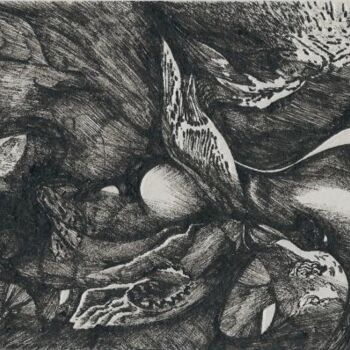 Dibujo titulada "Velours carnivore" por Jean-Philippe Degraeve, Obra de arte original, Tinta