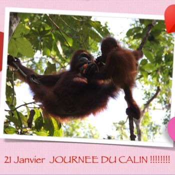 「JOURNEE DU CALIN  ……」というタイトルの写真撮影 Jeannette Allaryによって, オリジナルのアートワーク