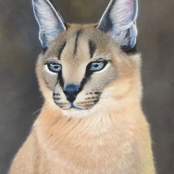 Dibujo titulada "Portrait Caracal" por Jess.C.Art, Obra de arte original, Pastel