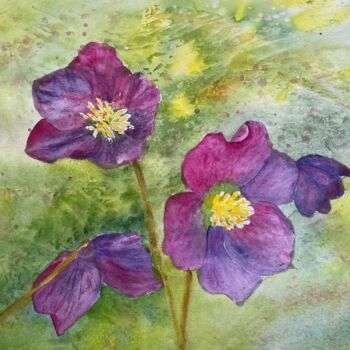 Painting titled "Hellebores" by Jill Correale Jill Simpson, Original Artwork, Watercolor