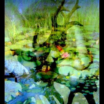 Digital Arts titled "swamp eyes" by John Calder Gunn, Original Artwork