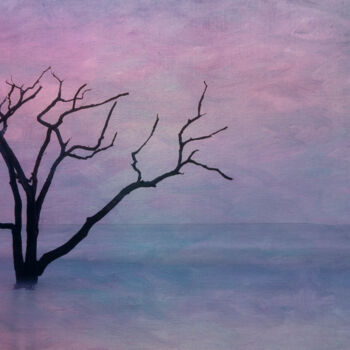 Photography titled "Edisto Island No 27" by John Pingree, Original Artwork, Digital Photography