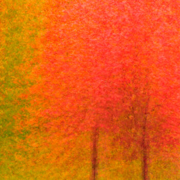 Photography titled "Maple Monet" by John Pingree, Original Artwork, Digital Photography