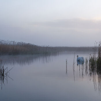 Photography titled "Morning Lake With S…" by John Furnes, Original Artwork, Digital Photography