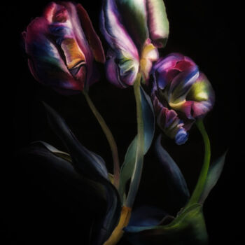 Peinture intitulée "Tulip" par Jolanta Rabenstein, Œuvre d'art originale, Acrylique