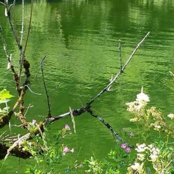 Fotografia zatytułowany „eau” autorstwa Jomara Hamzo, Oryginalna praca, Fotografia cyfrowa