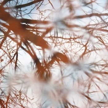 Fotografía titulada "Desenfoque vital /…" por Jon Lanbroa, Obra de arte original