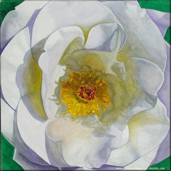 Pintura titulada "white rose" por Jorge Gallardo, Obra de arte original, Oleo