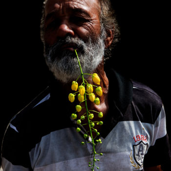 Фотография под названием "acacia" - Jose Americo Jsilvares, Подлинное произведение искусства, Цифровая фотография