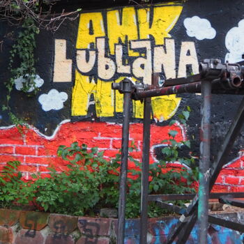 Fotografia intitolato "Lubjana 2" da Juanita Kirch, Opera d'arte originale, Fotografia non manipolata Montato su Alluminio